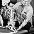 Moshe Feldenkrais - San Francisco Teaching With Skeleton